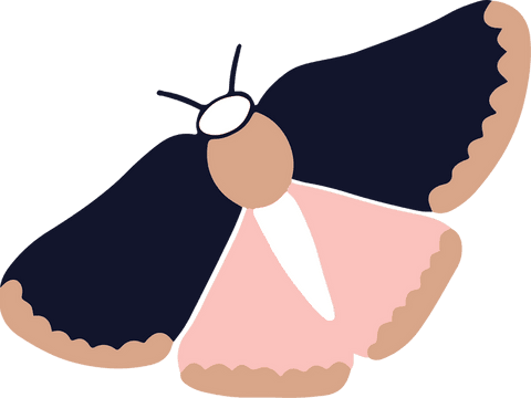 Flat Design Moth Illustrated on Transparent Background