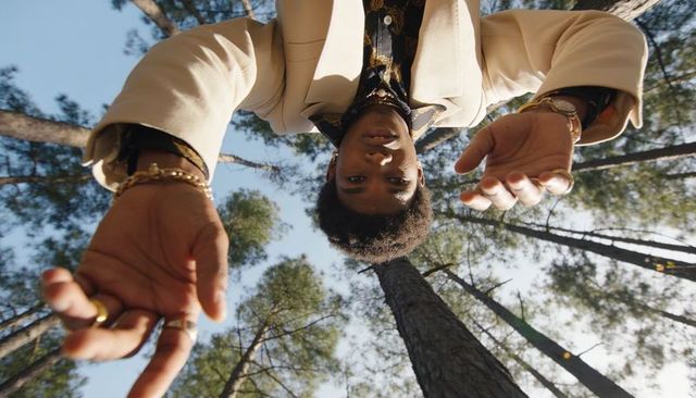 Low-angle stylish man reaching toward camera among pine trees, fashion portrait
