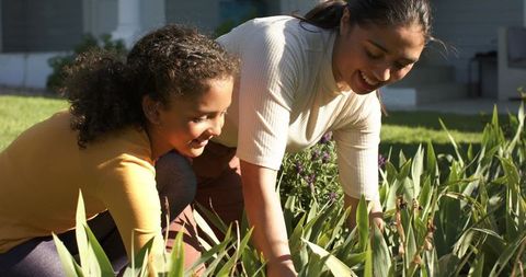Mother and daughter gardening together in sunny front yard tending blooming irises