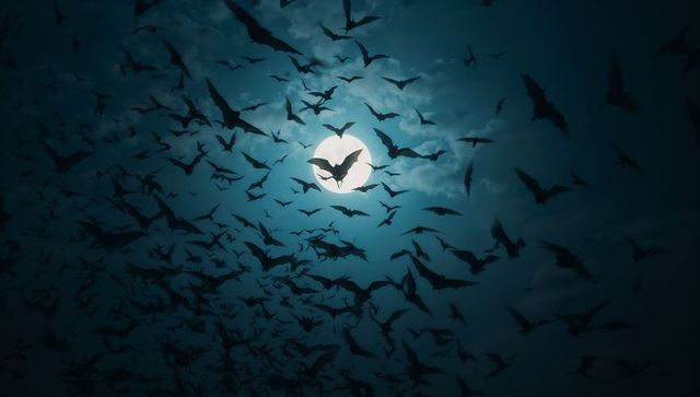 Silhouetted Bats Swarming Under Full Moonlit Sky