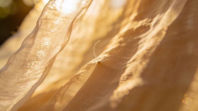 Sheer linen fabric catching golden sunlight, seed filament macro on translucent textile