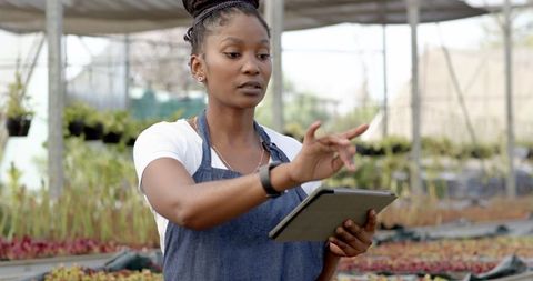 African american woman using tablet in greenhouse for horticulture