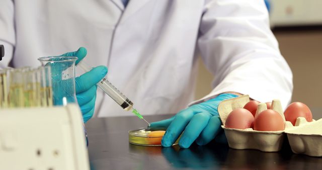 Scientist Injecting Fluid into Egg in Laboratory Research Setting - Download Free Stock Images Pikwizard.com