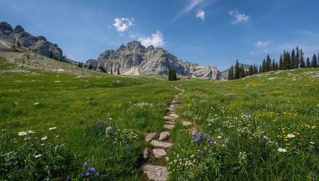 Stone path winding through alpine meadow toward rugged mountain peaks and wildflowers