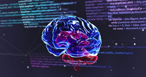 Digital Brain Interfaces with Data Network in Futuristic Display - Download Free Stock Images Pikwizard.com
