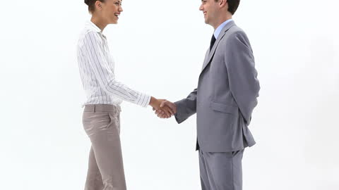 Business Professionals Shaking Hands in Agreement