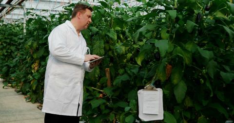 Botanist Conducting Research in Greenhouse Environment