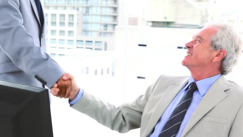 Senior Executive Shaking Hands in Office Meeting