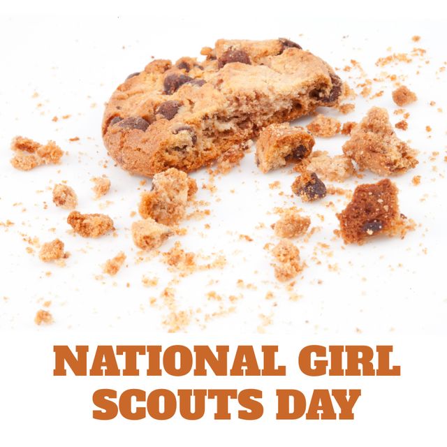 Composite of chocolate chip cookie and national girl scouts day text on white background, copy space. Sweet food, temptation, adventure, exploration, honor and celebration concept.