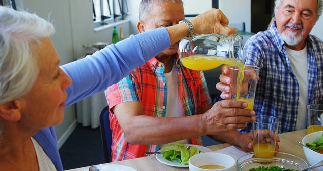 Senior Friends Drinking Juice and Enjoying Lunch Together - Download Free Stock Images Pikwizard.com