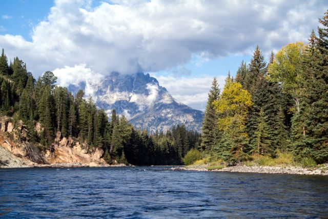 Calm River Flowing Through Pine Forest with Snow-Capped Mountain Background - Download Free Stock Photos Pikwizard.com
