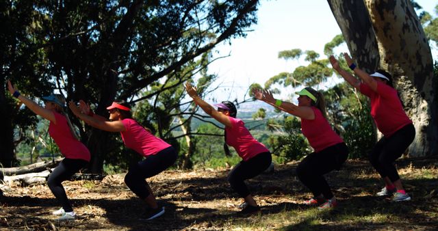 Group of Middle-Aged Women Exercising in the Park - Download Free Stock Images Pikwizard.com