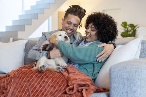 Couple cuddling puppy on cozy modern sofa with rust blanket and warm home comfort