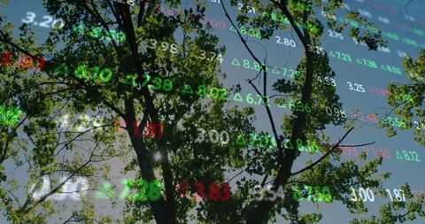 Thriving Nature Meets Financial Data Screen