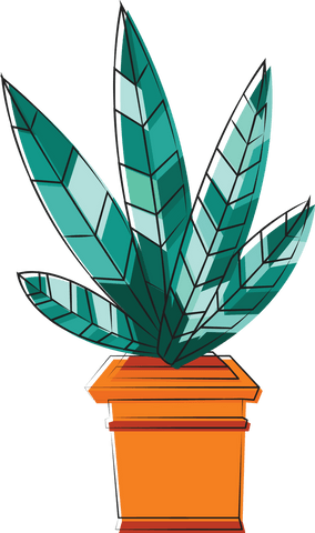 Graphic Plant in Orange Pot on Transparent Background for Interior Decor