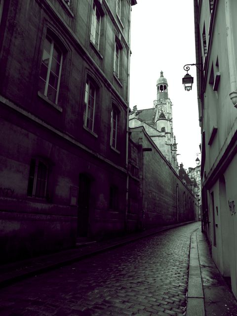 Capturing a narrow European alley lined with historic buildings and a cobblestone path. Vintage street lamps enhance the old-world charm. This image is ideal for travel blogs, historical presentations, magazines, or websites focusing on European architecture and culture.