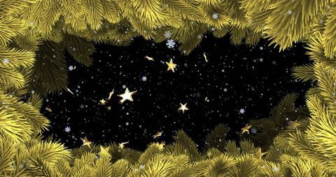 Falling Gold Stars and Snowflakes in Festive Pine Frame