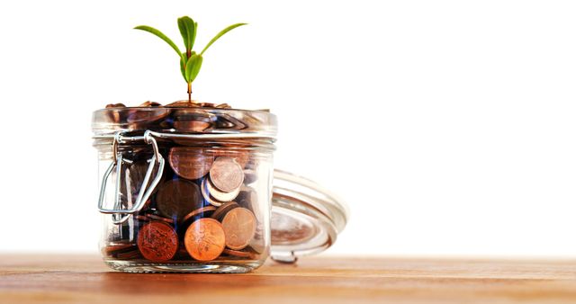 A glass jar filled with coins and a small plant sprouting from the top symbolizes financial growth and investment savings, with copy space. It represents the concept of wealth accumulation and the importance of nurturing one's finances for future prosperity.