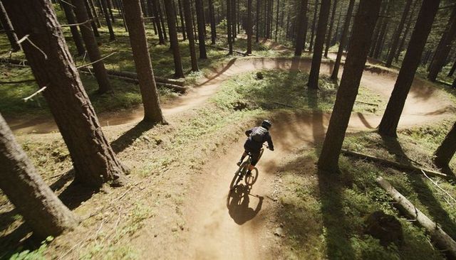 Mountain biker riding flowing bermed singletrack through sunlit pine forest trail