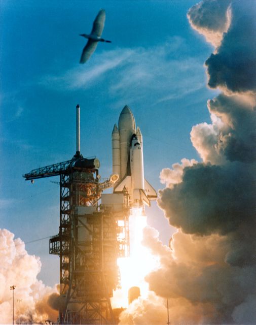 The Space Shuttle Columbia begins a new era of space transportation when it lifts off from NASA Kennedy Space Center (KSC).  The reusable Orbiter, its two (2) fuel tanks and two (2) Solid Rocket Boosters (SRB) has just cleared the launch tower.  Aboard the spacecraft are Astronauts John W. Young, Commander, and Robert L. Crippen, Pilot .         1.  STS-I - LAUNCH    KSC, FL           KSC, FL        Also available in 4x5 BW
