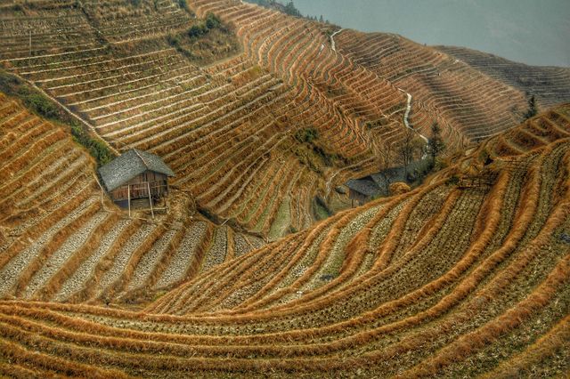 Scenic view of terraced hills showing intricate curved rows of fields with a few cottages. Ideal for use in travel brochures, landscape photography portfolios, farming and agricultural industry publications, and designs related to rural living and nature.