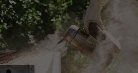 Beekeeper Using Smoker Over Hive Box in Summer Garden