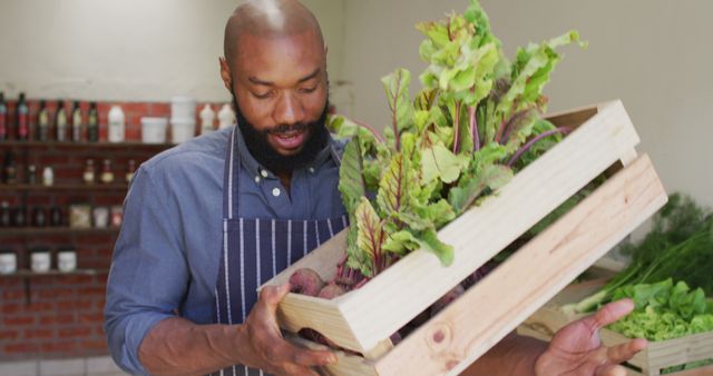 Organic Farmer Holding Fresh Vegetable Harvest in Wooden Crates - Download Free Stock Images Pikwizard.com