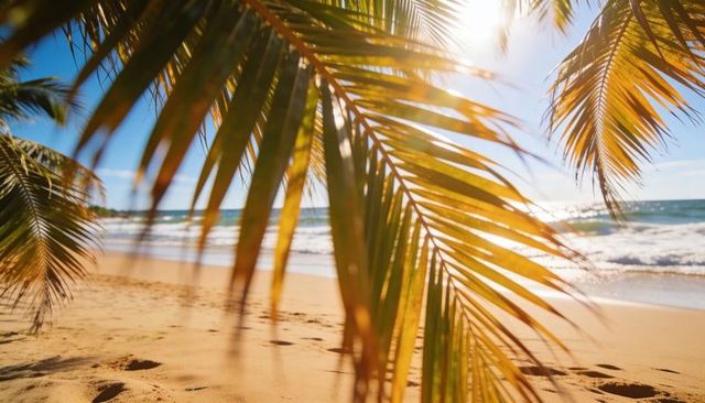 Sunlit tropical beach viewed through palm fronds with footprints, waves, glare