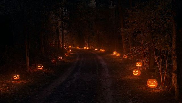 Enchanting Jack-O'-Lanterns Lighting Up Forest Trail at Night
