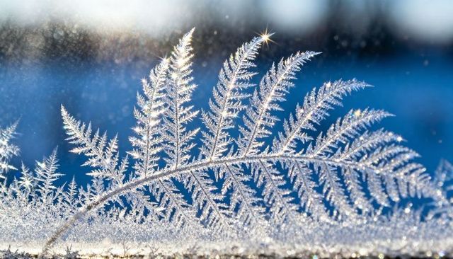 Icy fern frost patterns on glass sparkling in morning light with blue bokeh