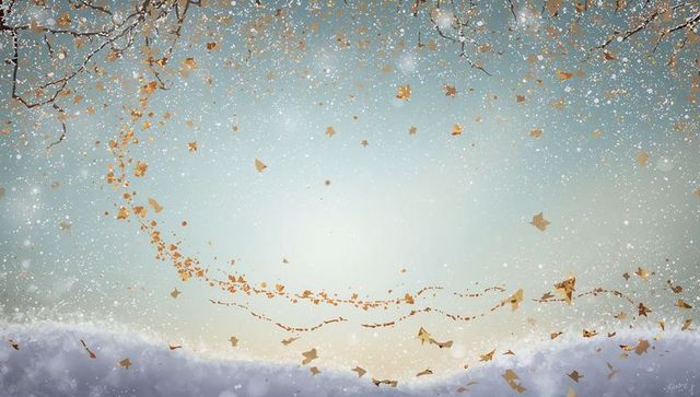 Drifting golden leaves swirling over snowy clearing beneath bare winter branches