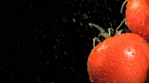 Slow Motion Water Splashing on Fresh Tomatoes