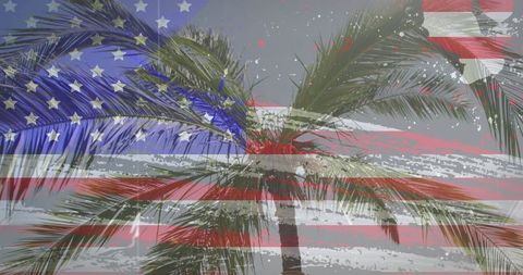 American Flag Overlay on Palm Tree, Patriotic Beach Concept