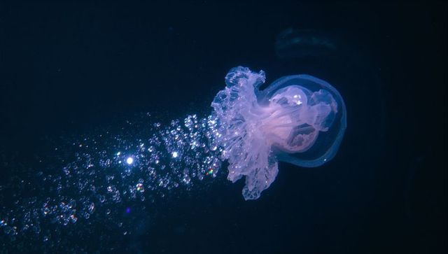 Bioluminescent jellyfish gliding through deep ocean with bubble trail