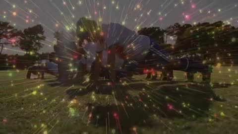 Group Fitness Push-Up Session with Starburst Effect Outdoors