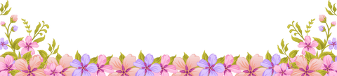 Ornamental Botanical Floral Border on Transparent Background - Download Free Stock Videos Pikwizard.com