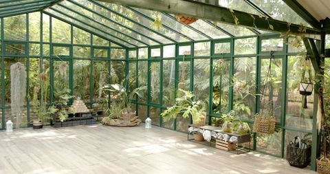 Relaxing Glasshouse Retreat with Plants for Yoga and Meditation