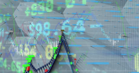 Dynamic Financial Data with Digital Interface Visualization