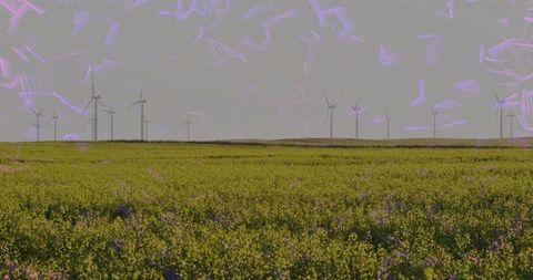 Wind Farm on Green Field with Yellow Flowers under Overcast Sky