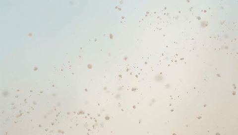 Delicate splattered droplets on translucent glass with pale blue to beige gradient bokeh