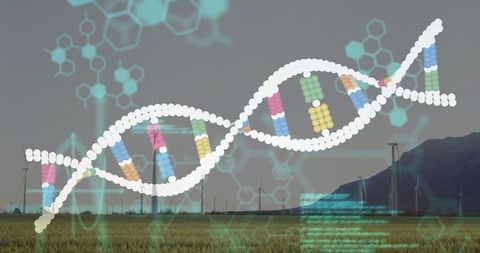 Dna helix hovering above wind turbines representing renewable energy and biotech fusion