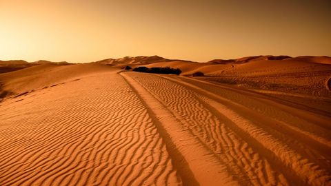 Golden Sunrise over Desert Sand Dunes