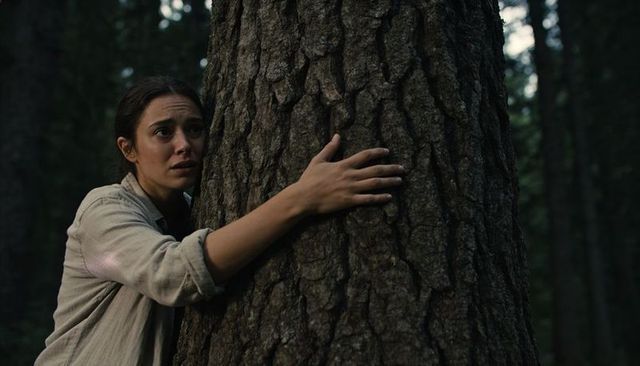 Young woman hugging massive pine trunk in shadowy forest, expressing fear and nature bond