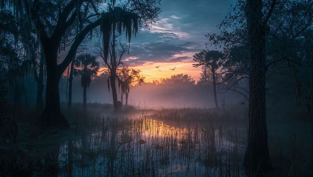 Mystical dawn over serene wetland with reflection and mist