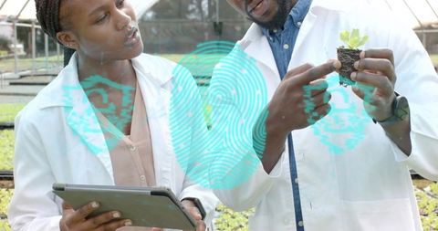 Scientists Analyzing Seedlings with Technology in Greenhouse