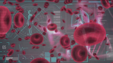 Animated Red Blood Cells with Digital Data Interface