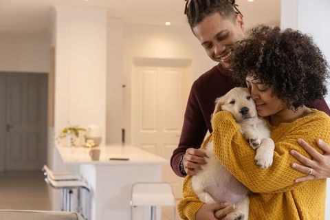 Couple cuddling golden retriever puppy in modern kitchen, cozy home adoption moment, warm lifestyle