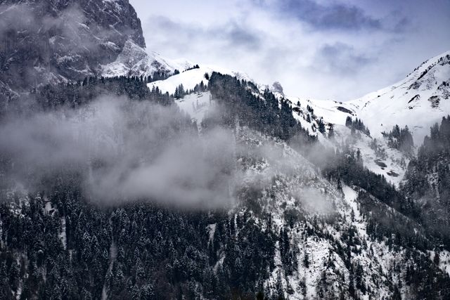 Grayscale Photo of Snowcap Mountain - Download Free Stock Photos Pikwizard.com