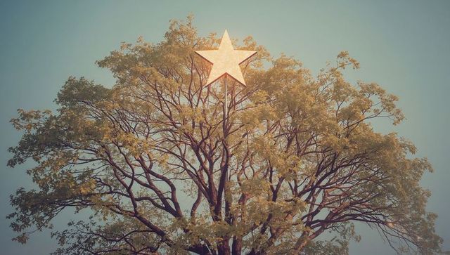 Golden autumn tree with illuminated star ornament concept