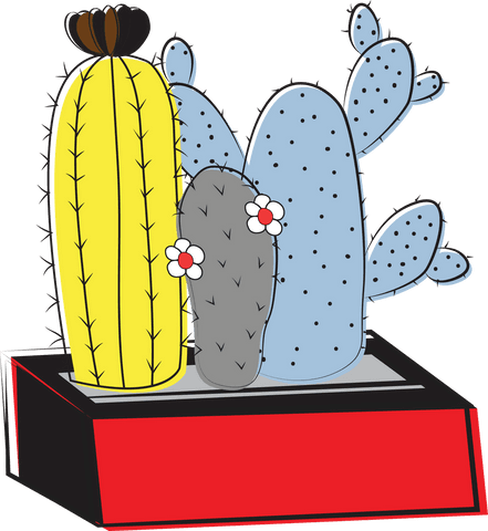 Colorful Cactuses on Transparent Background Illustration